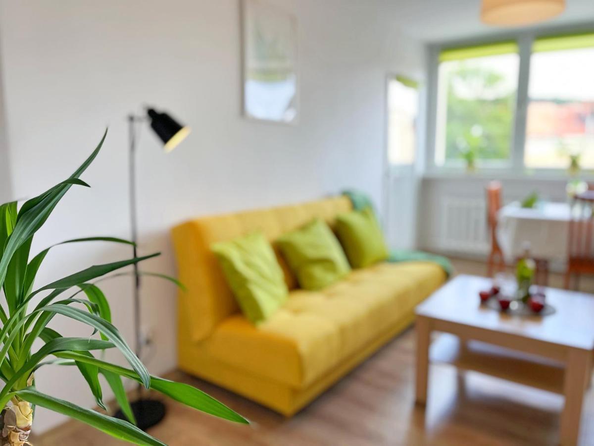 Apartament Parkowy ヴァウブジフ エクステリア 写真